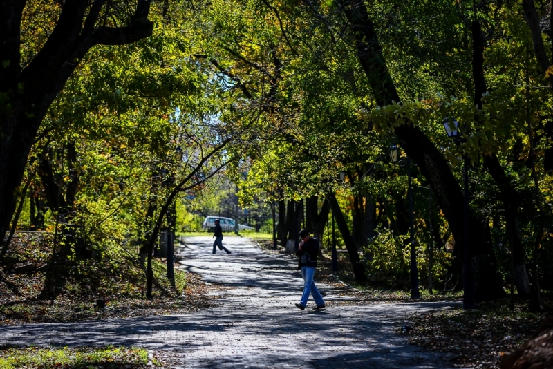 Покровский парк ИА PrimaMedia