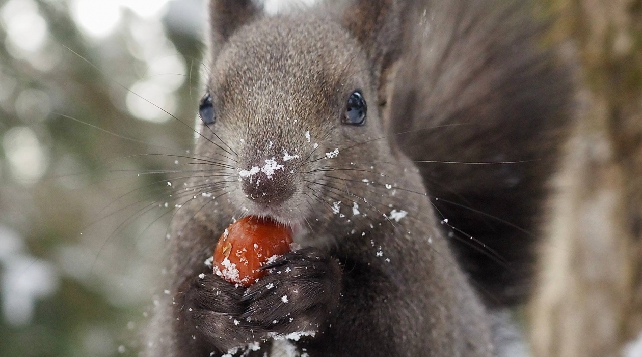 Тематическое фото telegram-канал Jul is watching (18+)