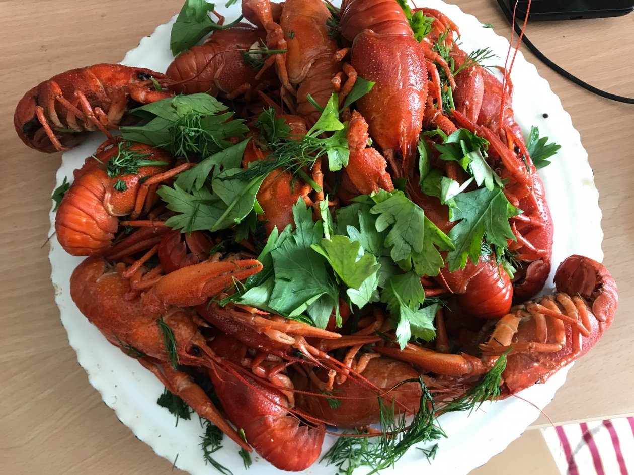 Тематическое фото ИА PrimaMedia