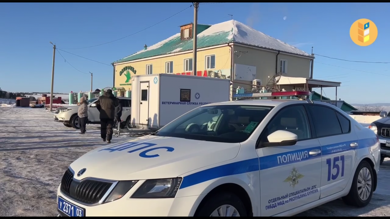 На границе Бурятии с Забайкальем работают ветпосты Минсельхоз Бурятии