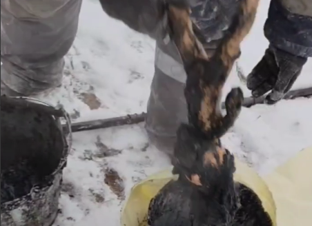 Кукла, выброшенная в канализацию Кадр из видео