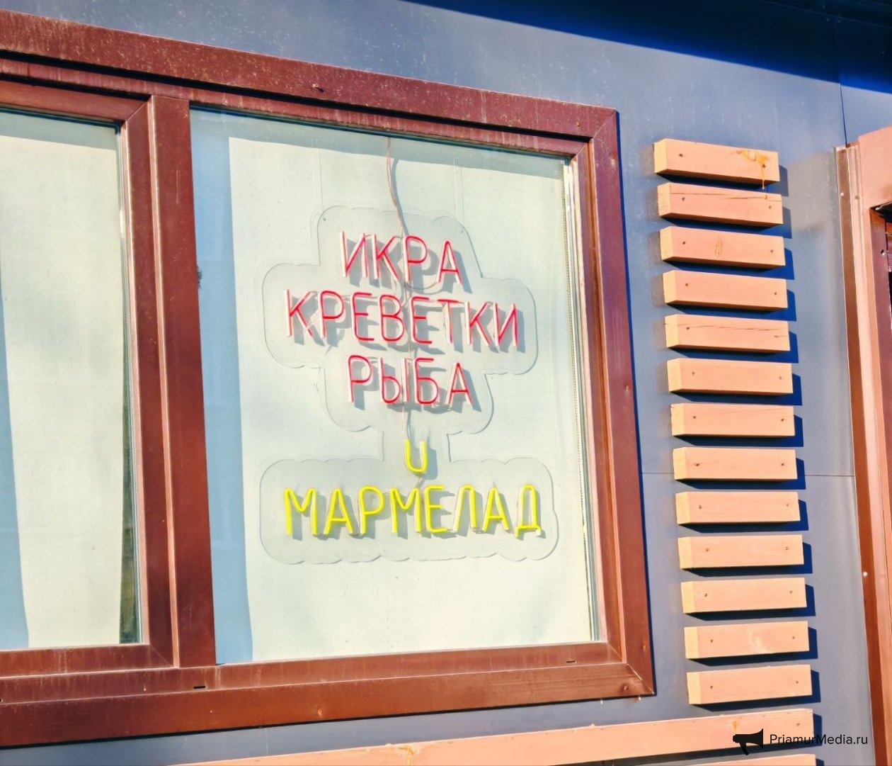 Юлия Ожегова, ИА PriamurMedia