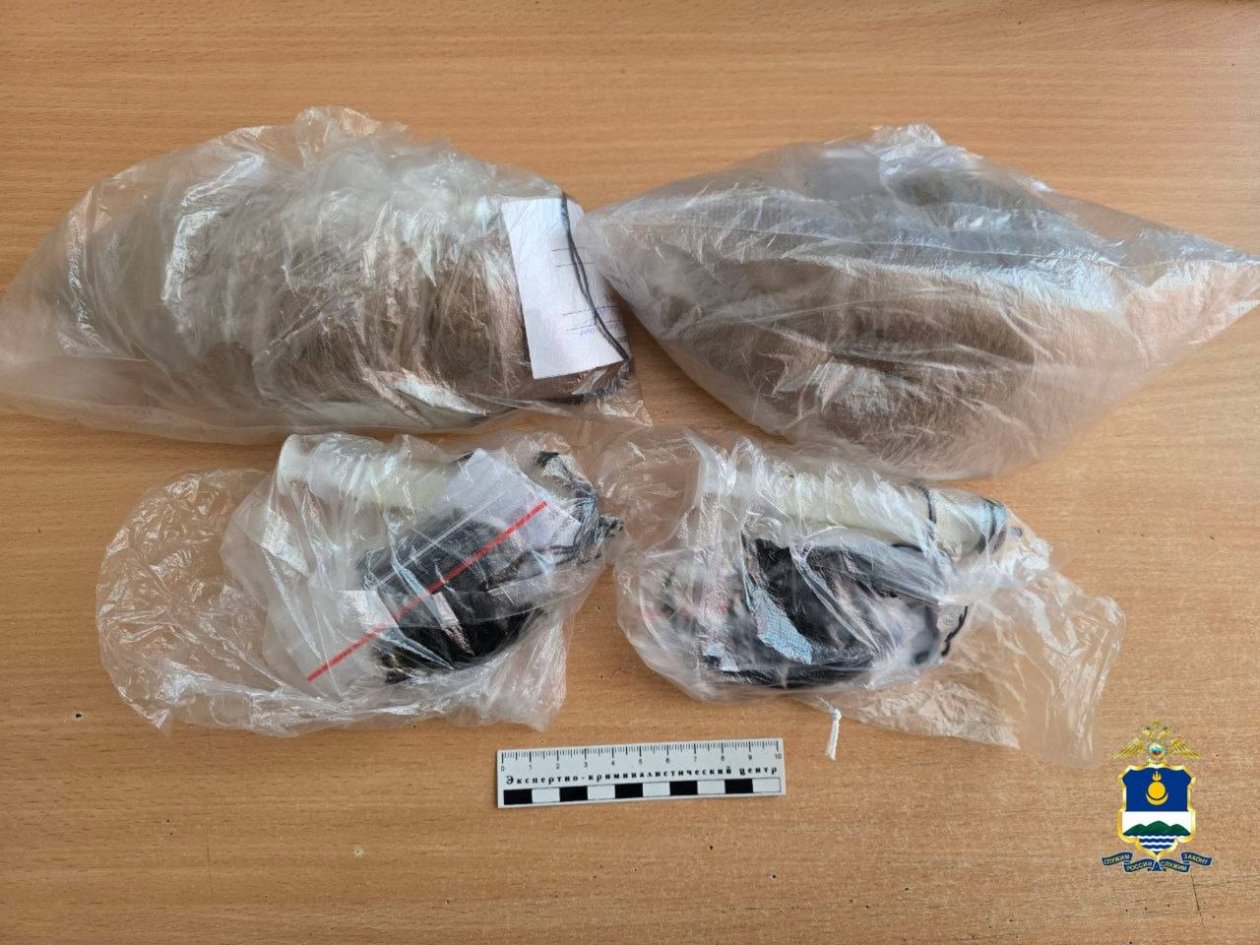 В Бурятии задержан водитель с крупной партией наркотиков МВД по Бурятии