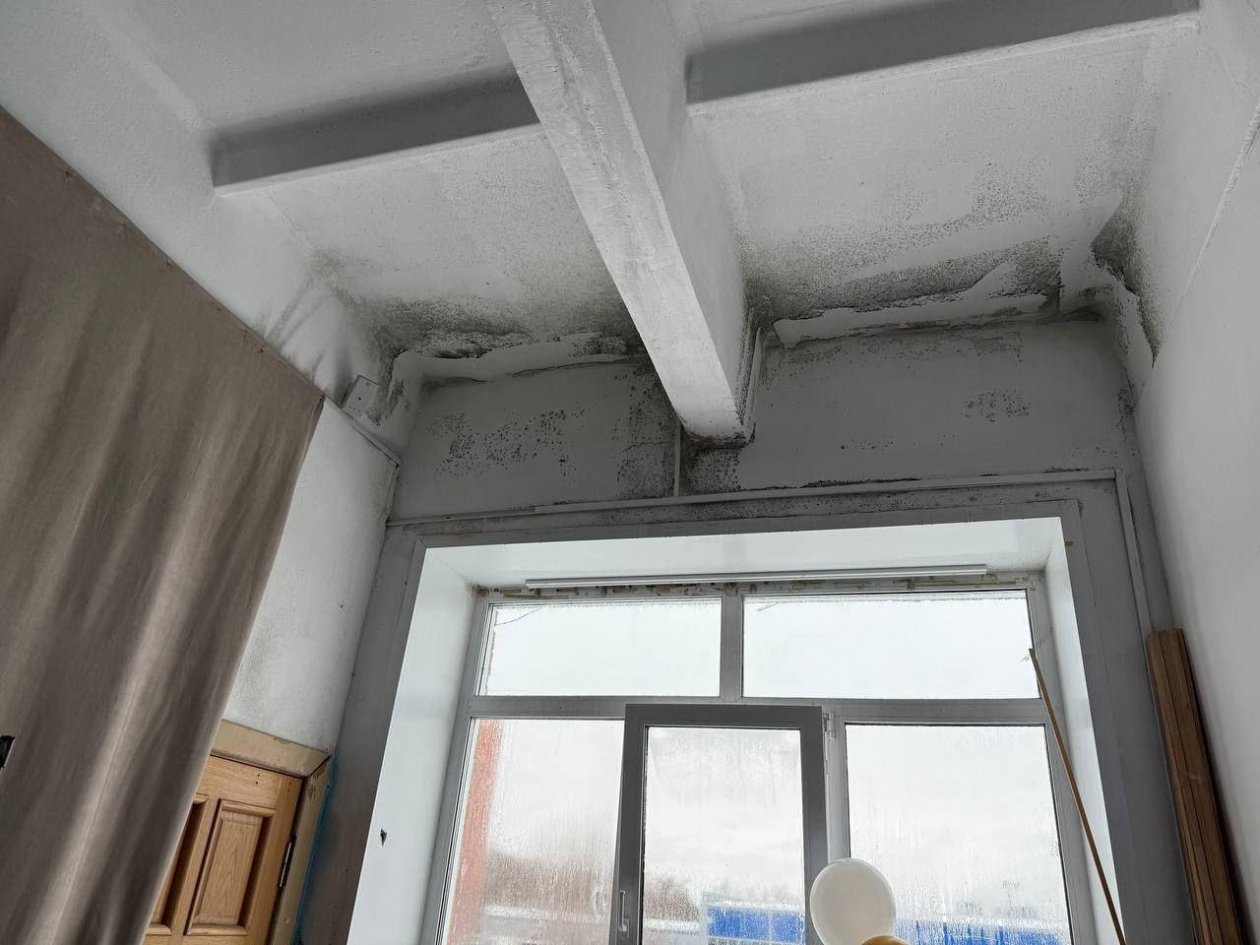 Родител показали кадры из учебного заведения тг-канал (18+) &quotИнцидент Омск&quot