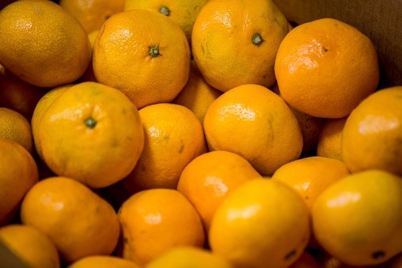 Антон Балашов