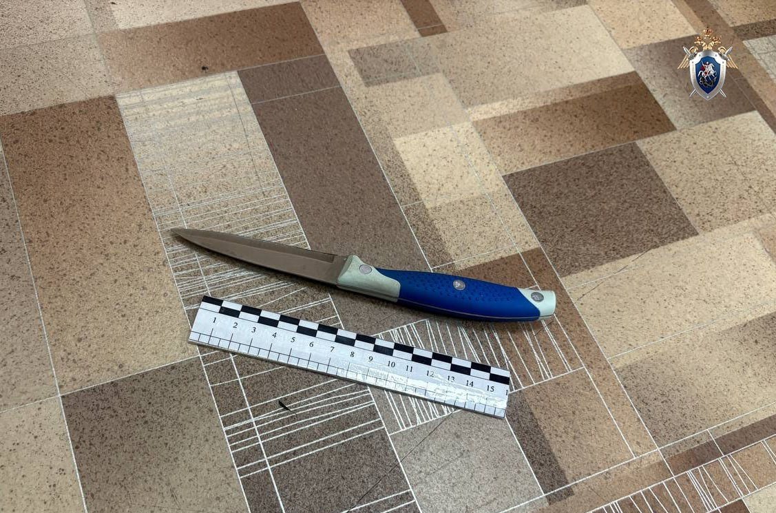 Кровавая драма разыгралась в селе Великокнязевка: сын с ножом напал на пожилого отца следственное управление СК России по Амурской области