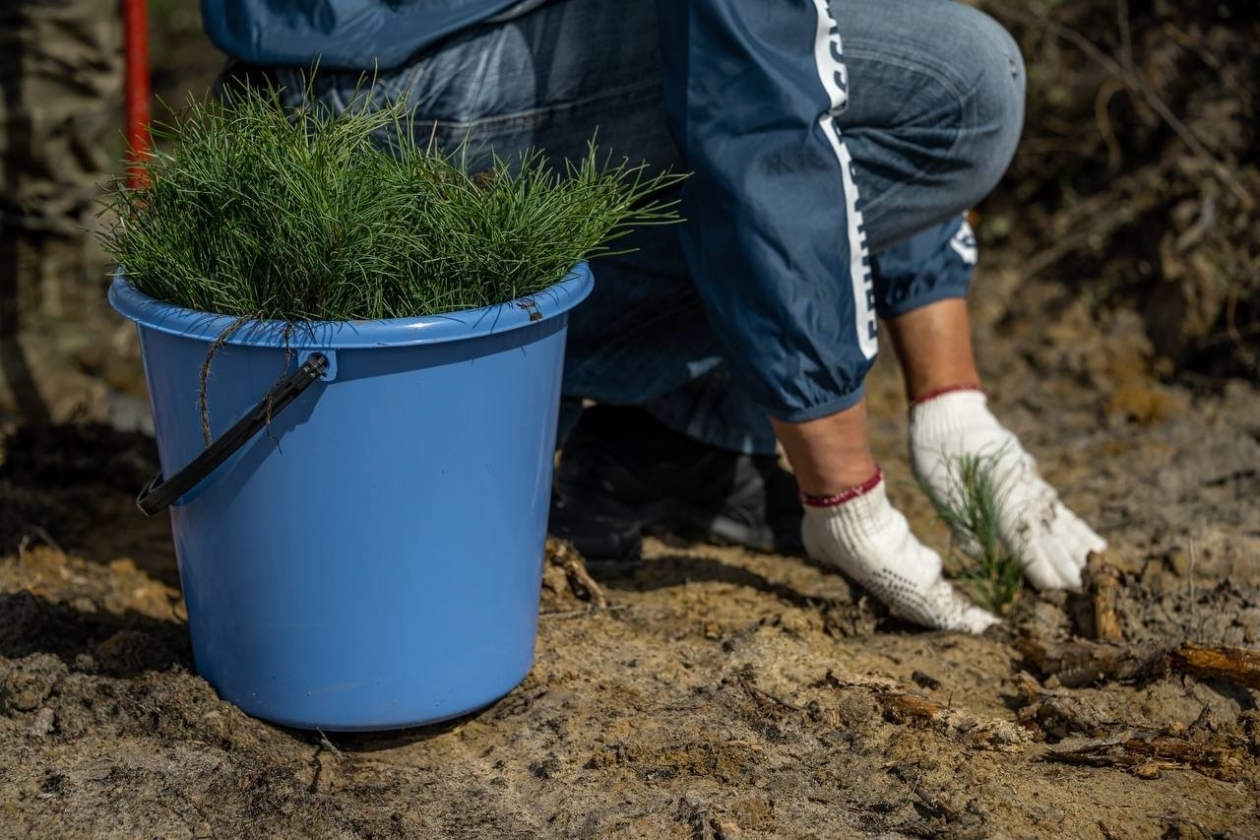 Тематическая фотография РЭО