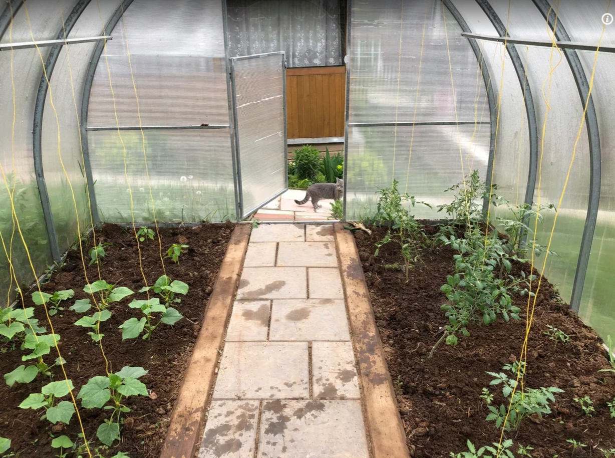 Тематическое фото ИА PrimaMedia