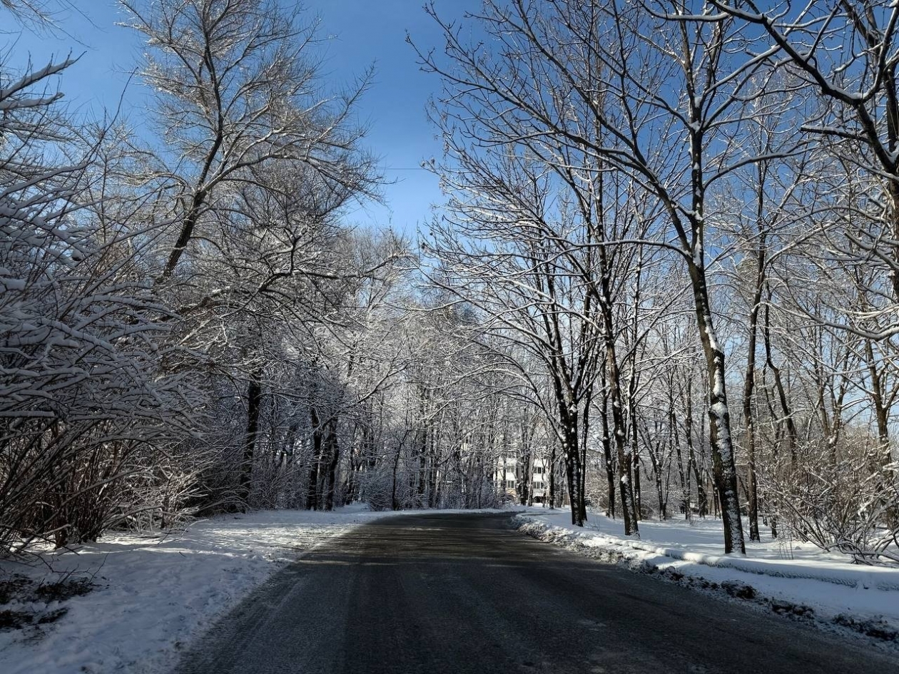 Зима, снег, погода Марина Кудрявцева, ИА UssurMedia.