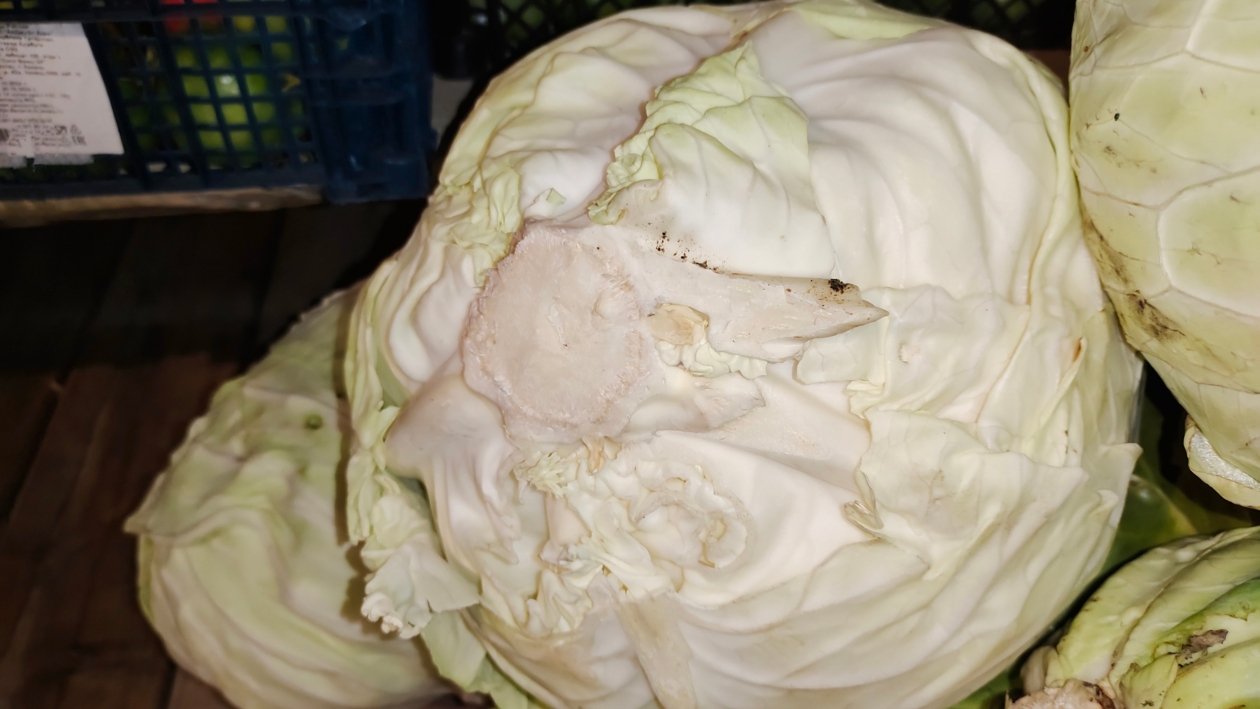 Капуста Автора