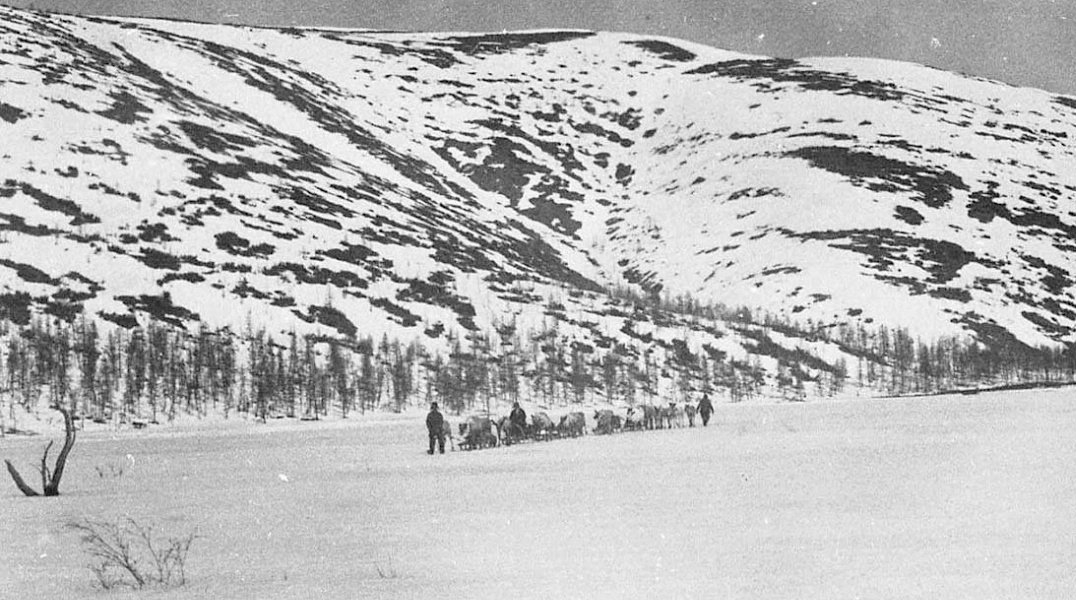 Доставка грузов по зимнику. 30-е годы ХХ-го века kolymastory.ru