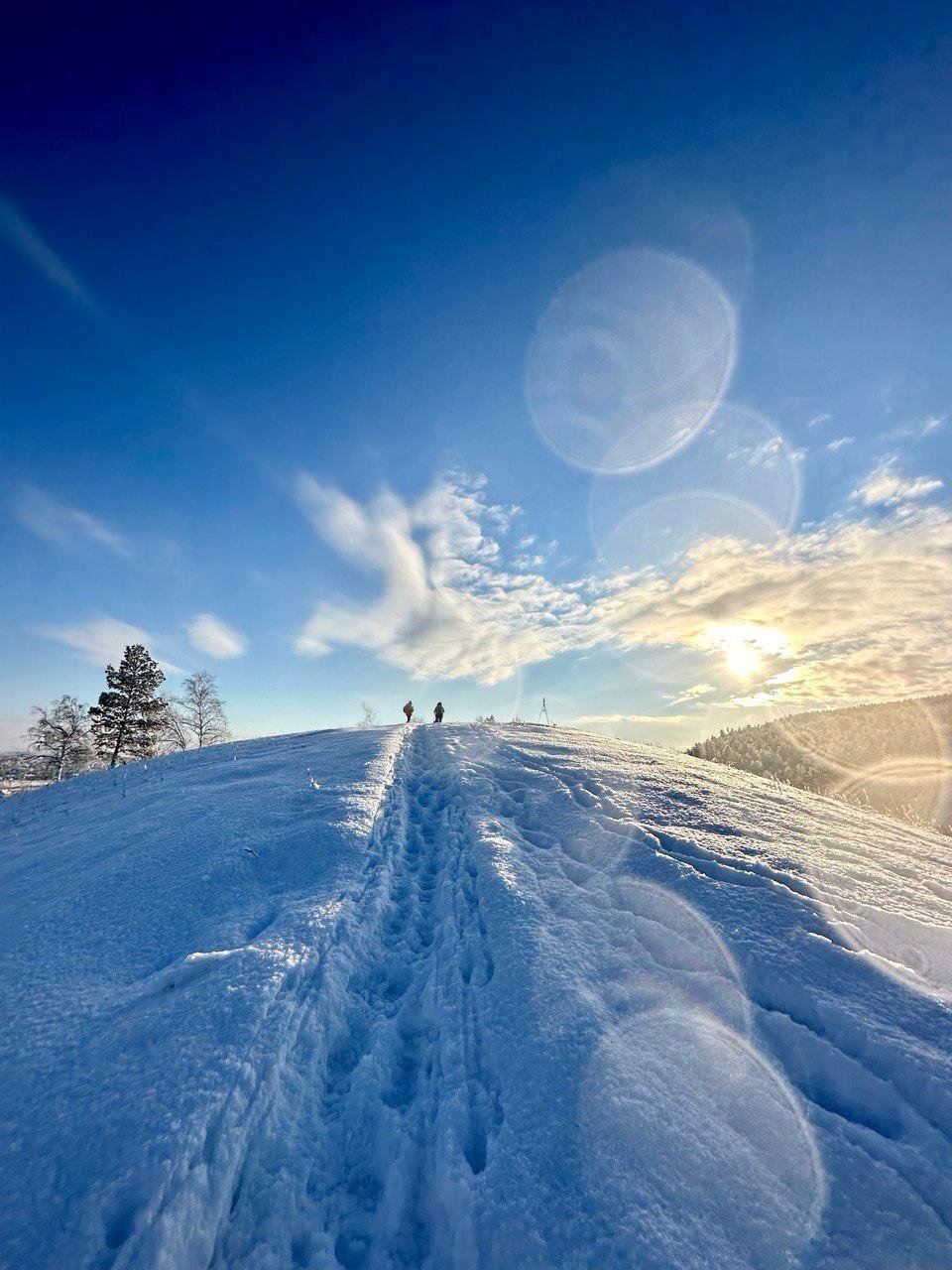 Гороскоп на неделю: Рак идет на компромиссы, Стрелец анализирует достижения ИА YakutiaMedia