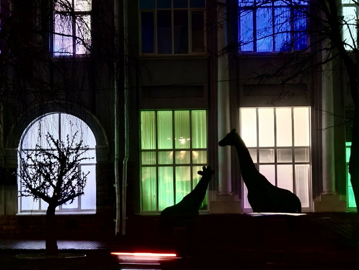 Когда астрономическая зима наступит на Ставрополье, рассказал астроном ИА Stavropol.Media