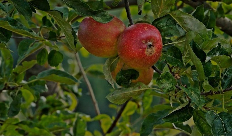 Тематическое фото Unsplash.com