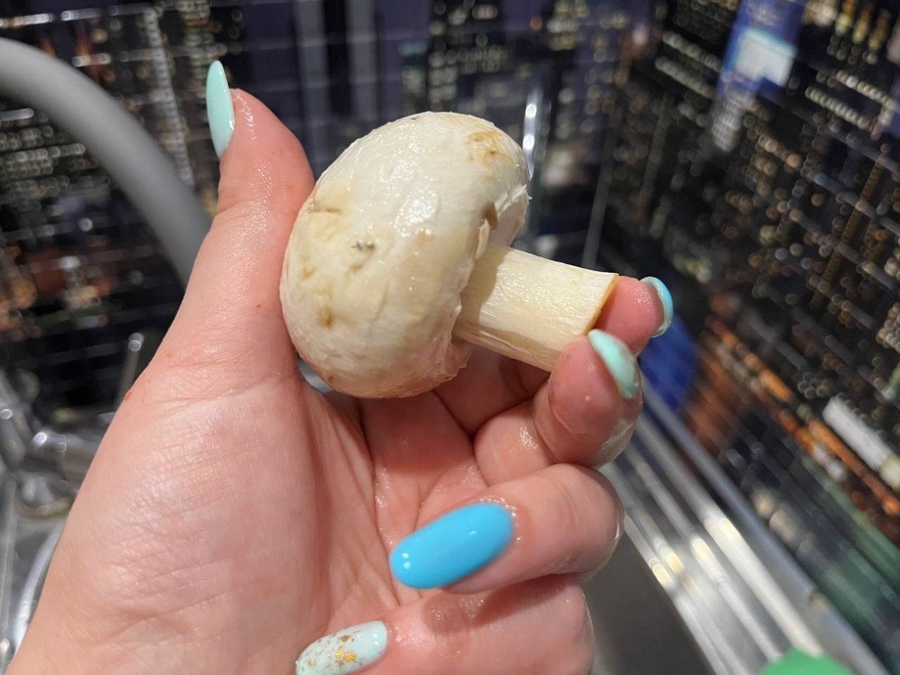 Грибы, шампиньоны, еда Артем Дубенчук