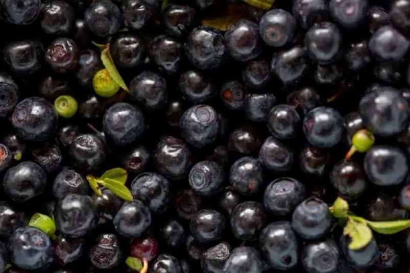 Тематическое фото Pxhere.com