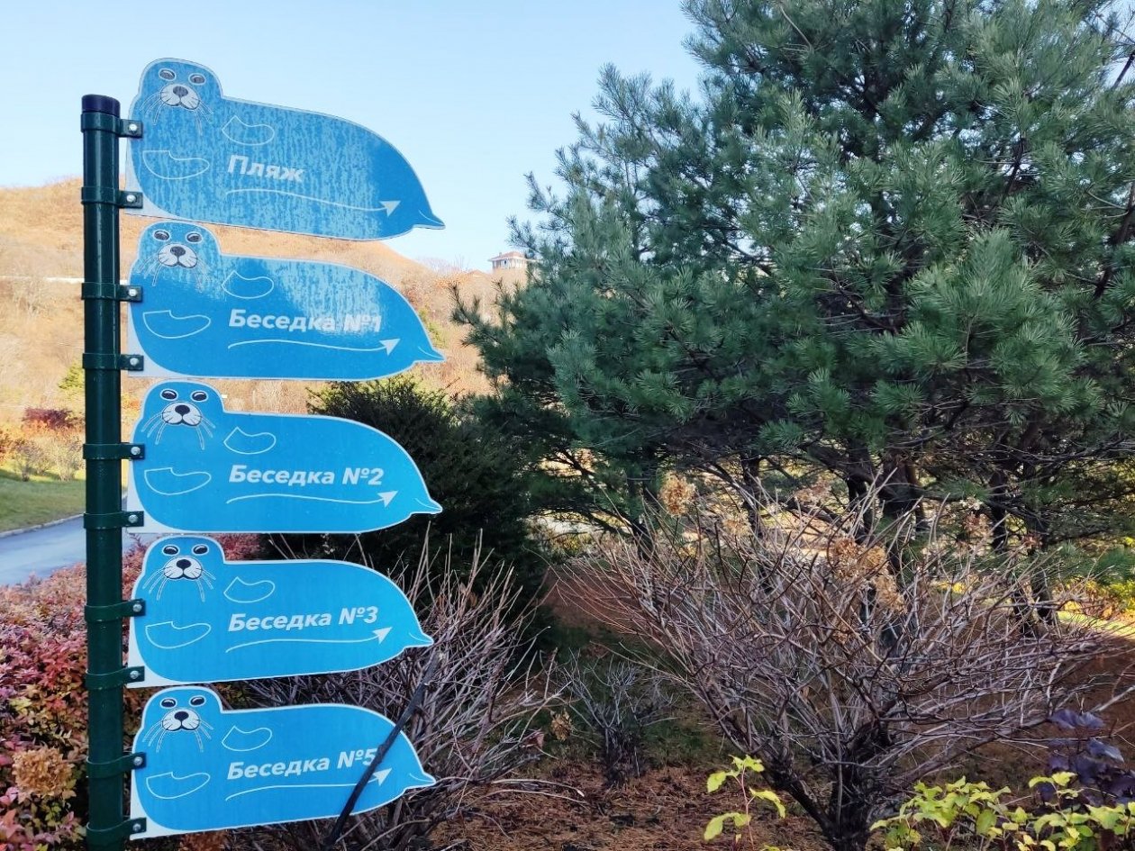 Турпредприятия Находки получили 52,5 млн рублей субсидий из краевого бюджета Петр Максимов