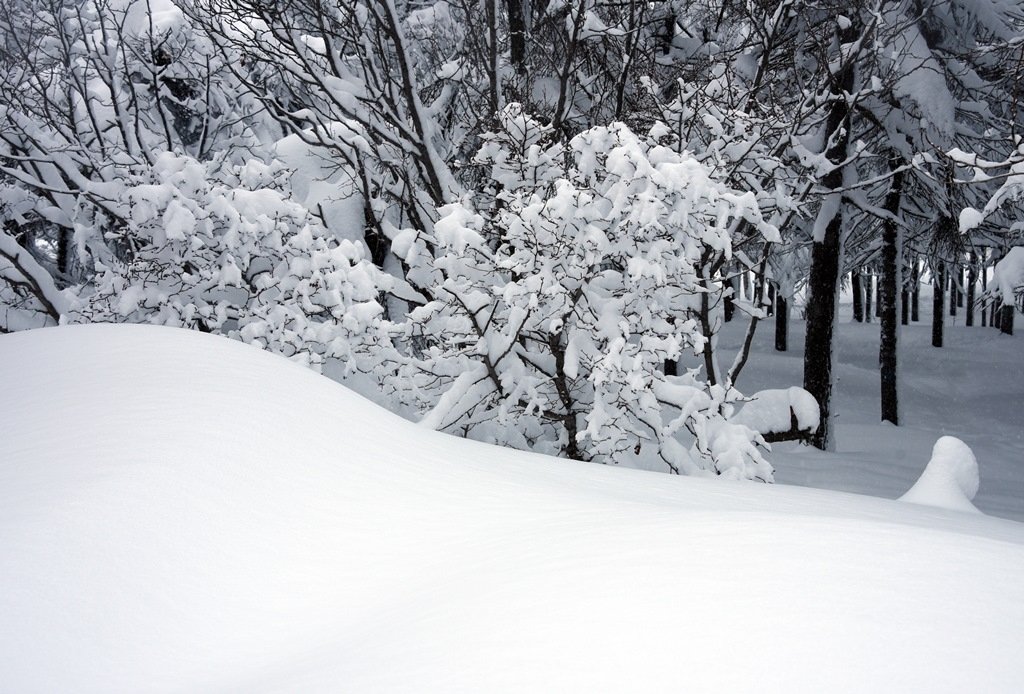 Тематическое фото Мэрия Магадана