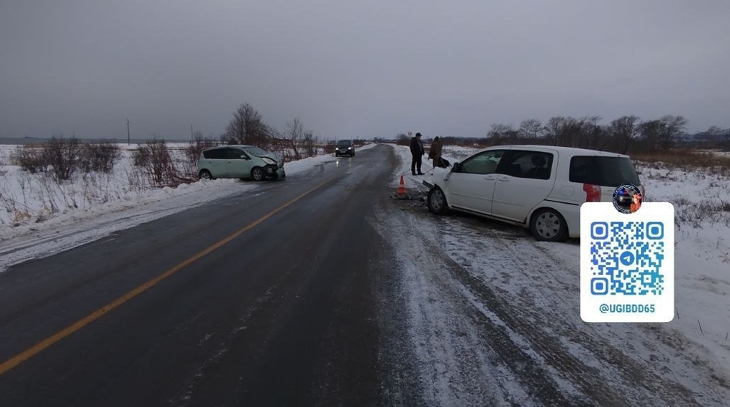 В Анивском районе произошло ДТП с двумя пострадавшими УГИБДД УМВД России по Сахалинской области