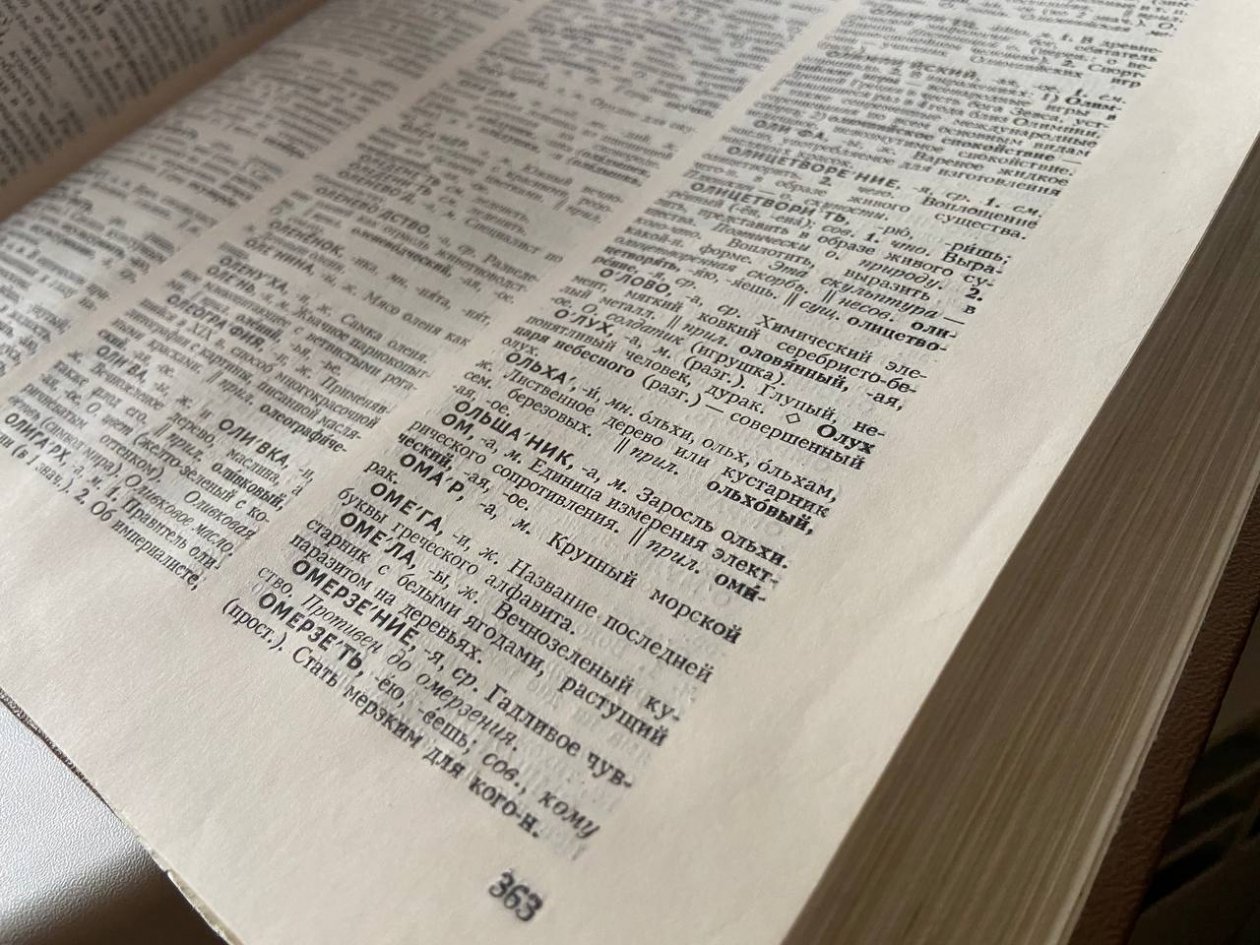 Словарь ИА Stavropol.Media