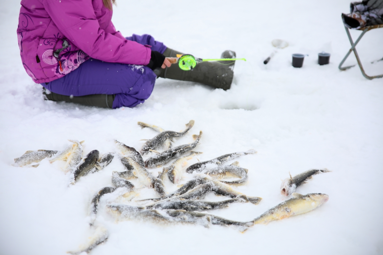 Денис Таушканов, ИА SakhalinMedia