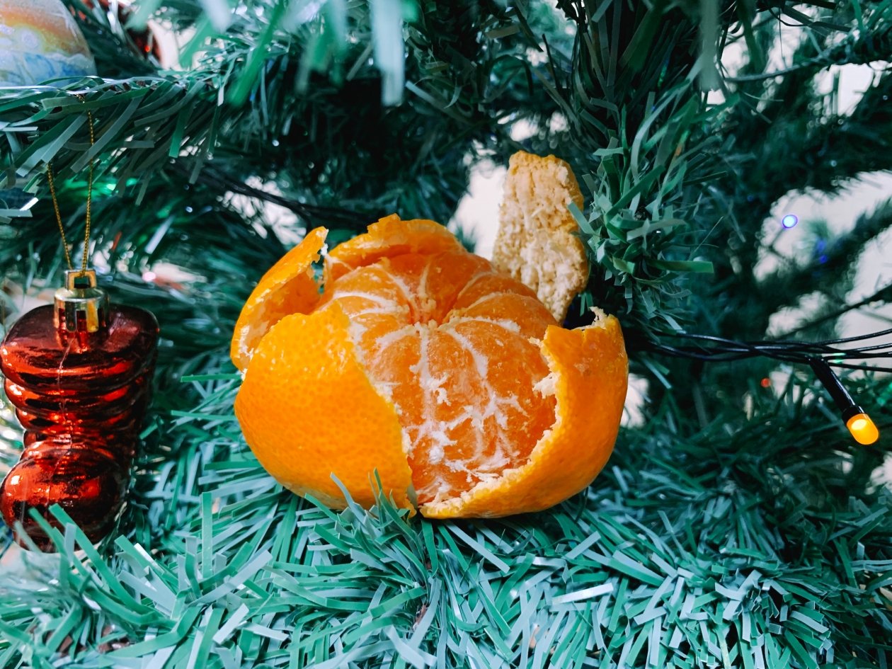 Тематическое фото ИА SakhalinMedia