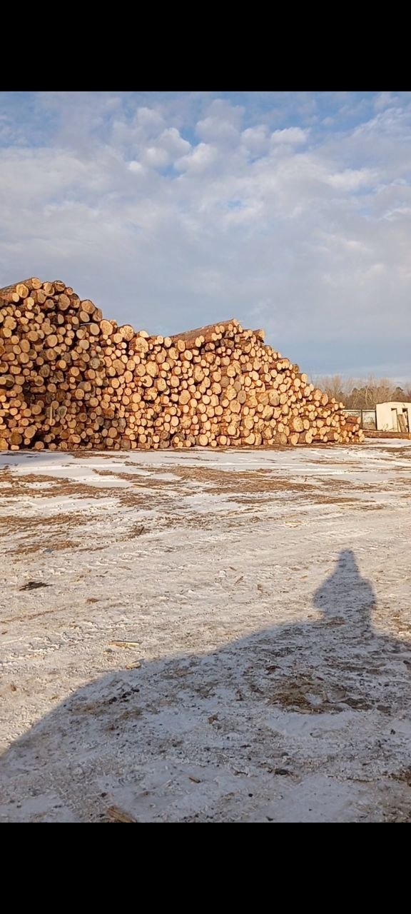 . пресс-служба ГУ МВД России по Красноярскому краю