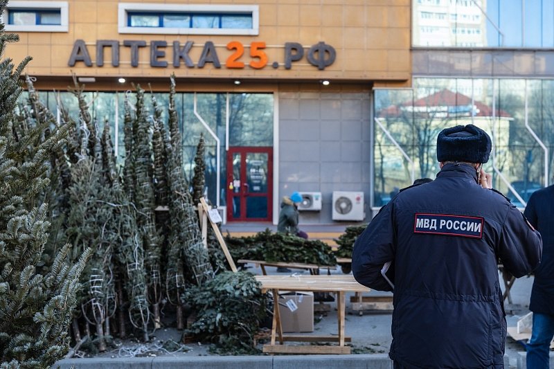 Во Владивостоке борются с &quotчёрными&quot елочными базарами пресс-служба администрации Владивостока