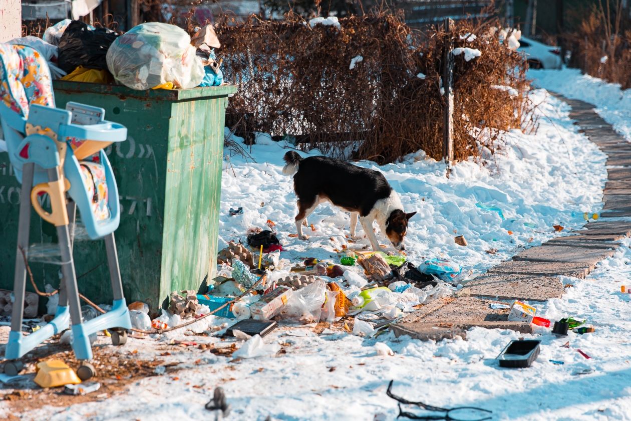 Илья Аверьянов, ИА PrimaMedia