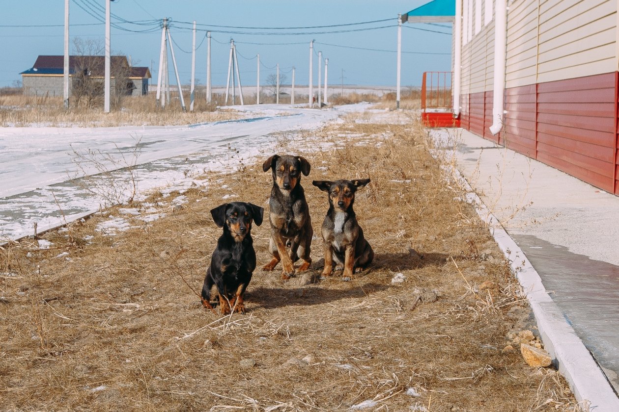 Мария Смитюк, ИА PrimaMedia.ru