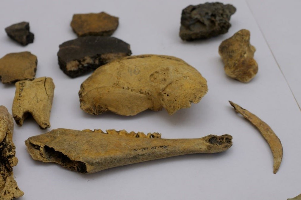 Более 100 археологических объектов обследовали в Иркутской области в 2025 году Пресс-служба правительства Иркутской области