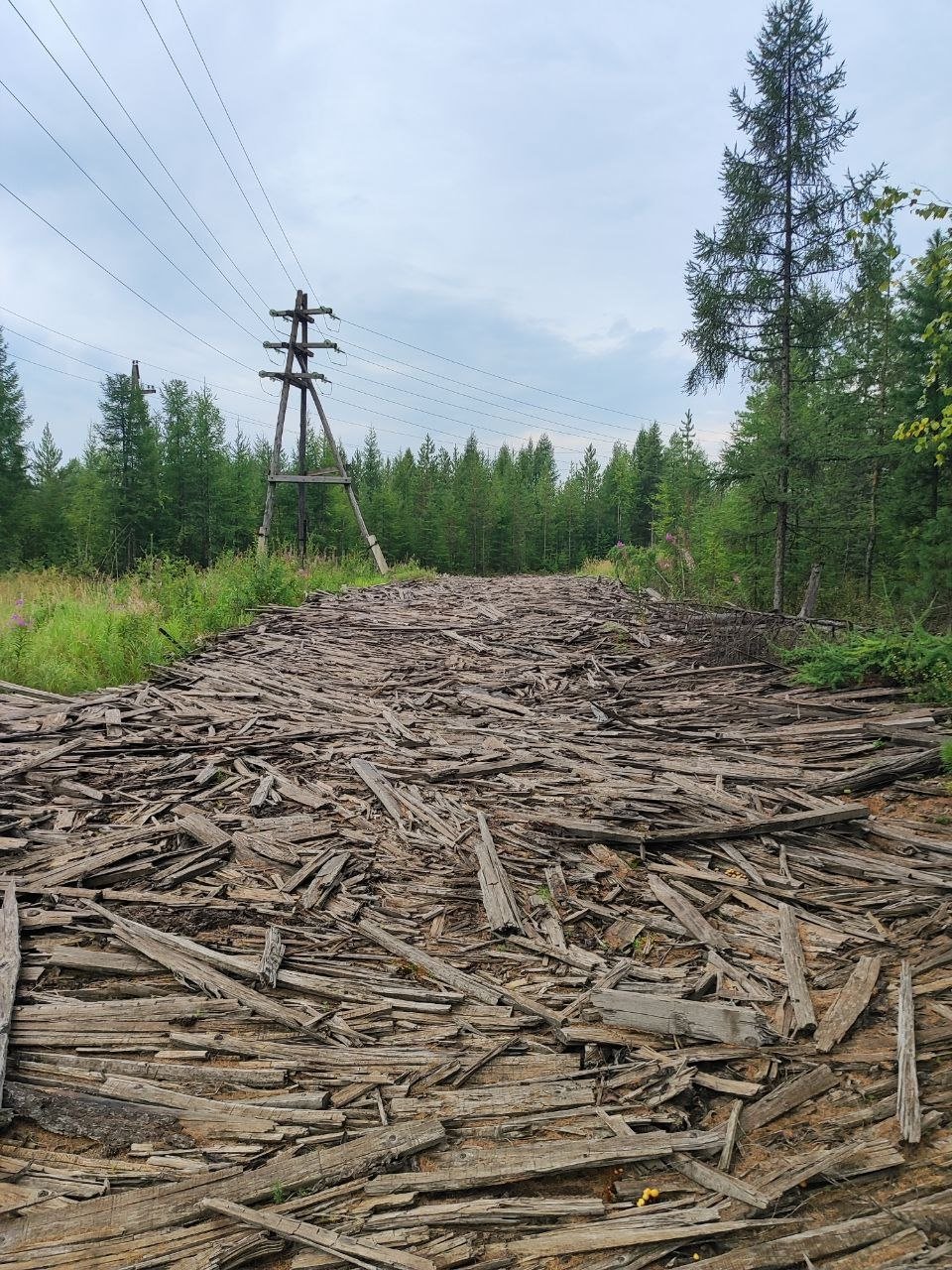 Свалка отходов пиломатериалов устранена после вмешательства прокуратуры в Приангарье Пресс-служба прокуратуры Иркутской области.