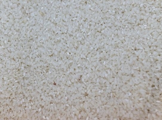 Рис ИА PrimaMedia