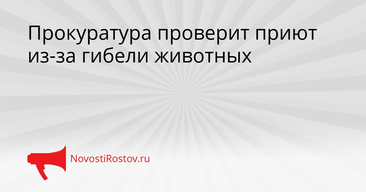 Прокуратура проверит приют из-за гибели животных Сгенерировано