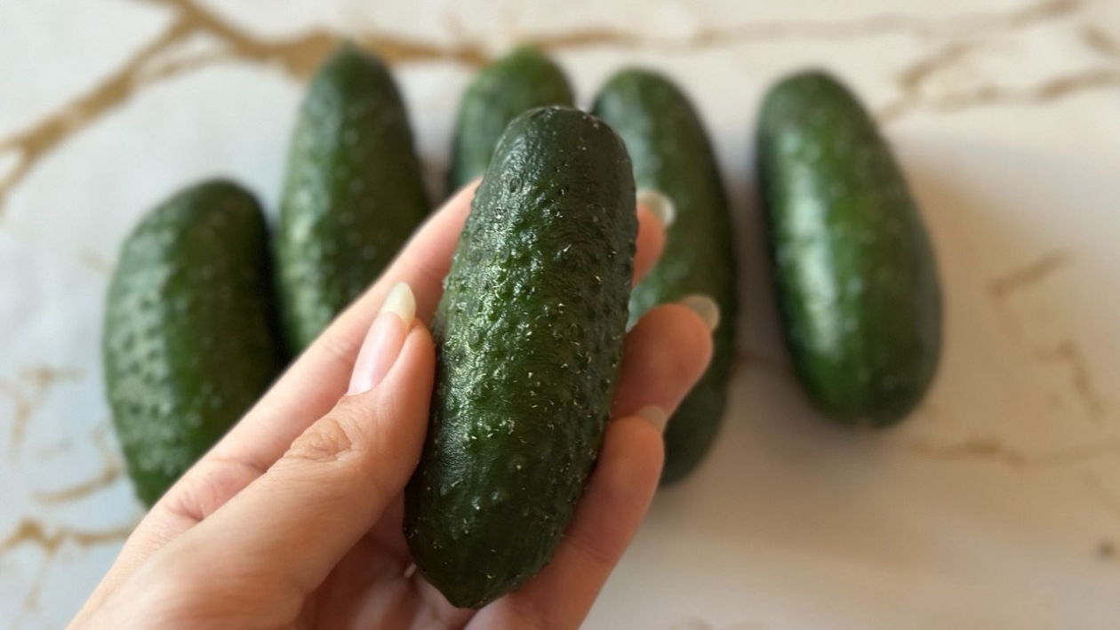 Умные дачники сажают только эти 3 сорта огурцов: Самые ранние, вкусные и сочные - скупаем семена ИА KrasnodarMedia