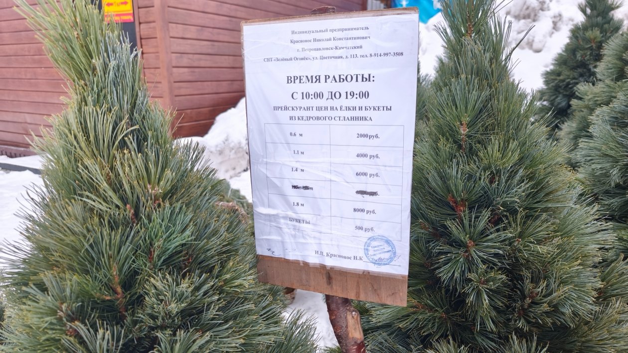 ИА KamchatkaMedia, Ирина Васильева