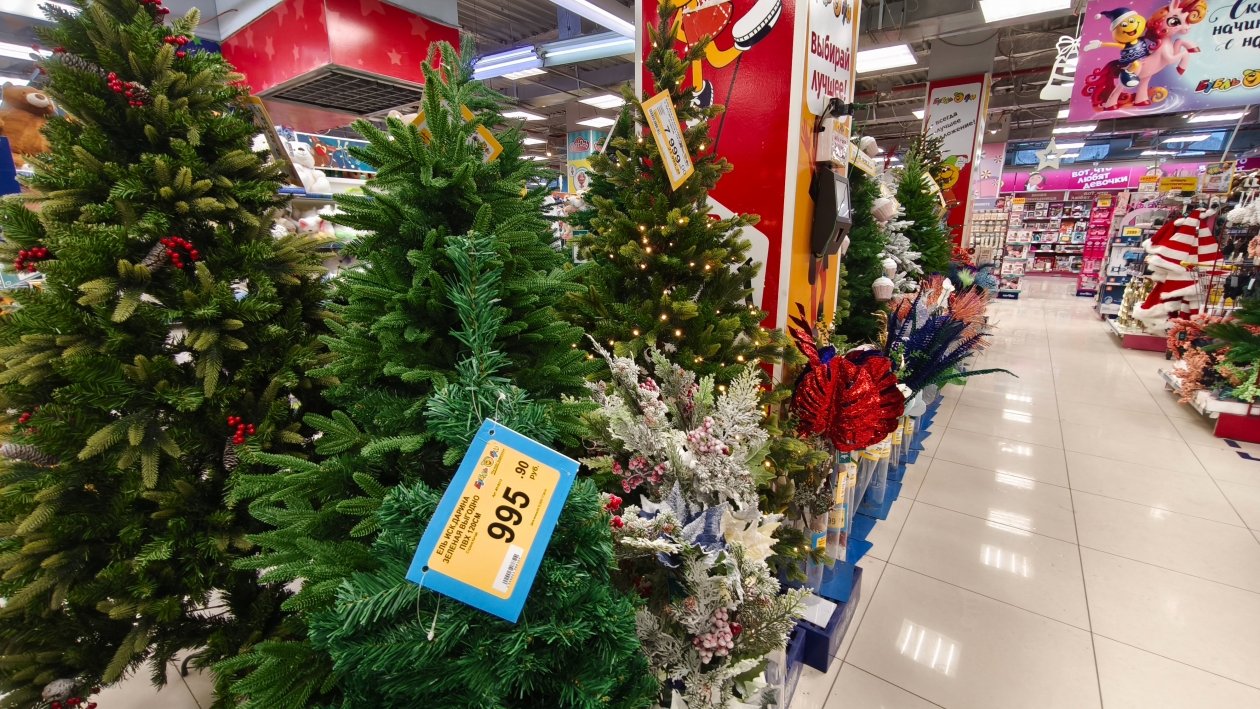 ИА KamchatkaMedia, Ирина Васильева