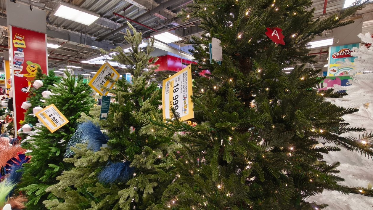 ИА KamchatkaMedia, Ирина Васильева