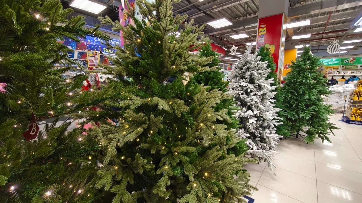 ИА KamchatkaMedia, Ирина Васильева