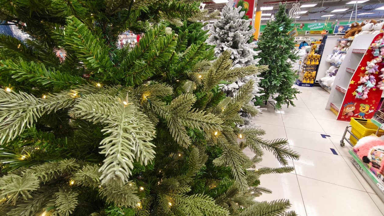 ИА KamchatkaMedia, Ирина Васильева