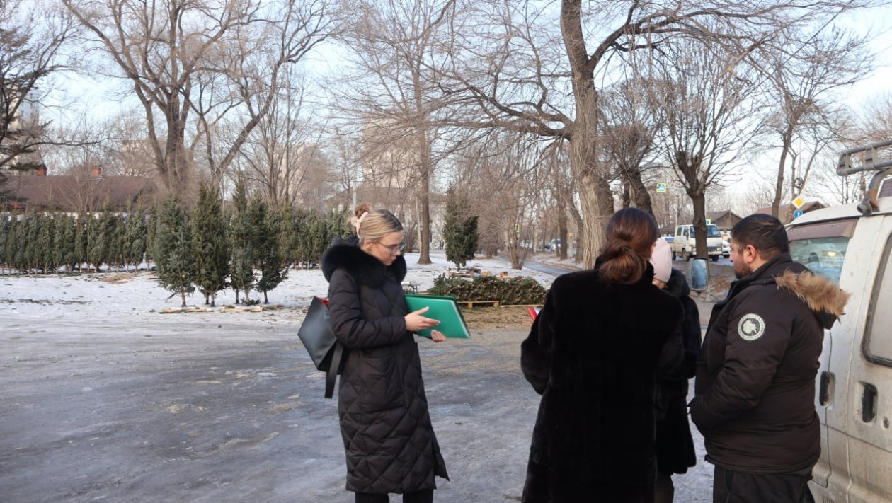 Рейд по местам торговли елками Александр Шепырев, ИА UssurMedia