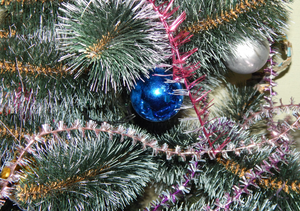 Тематическое фото pxhere.com