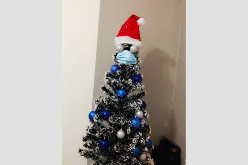 Елка, новый год, коронавирус, маски медицинские ИА ЕАОMedia