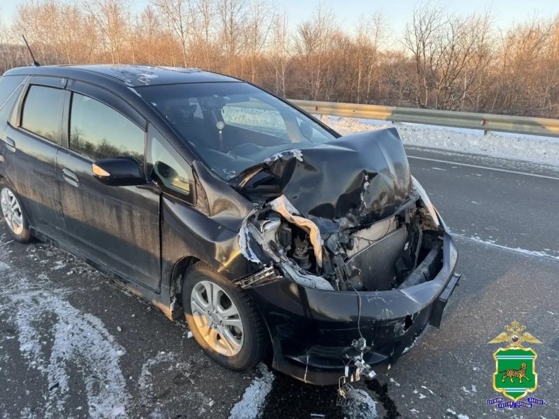 областная ГАИ