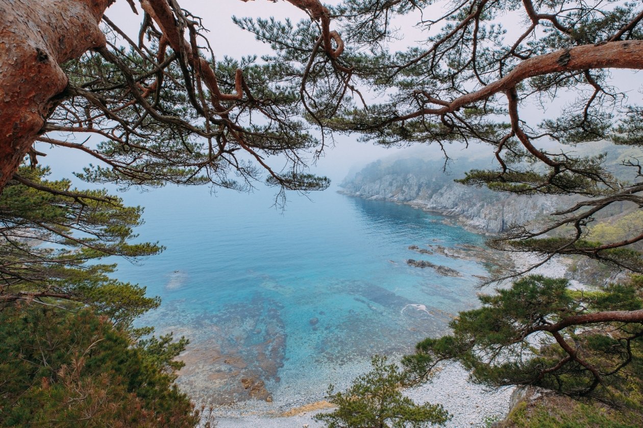 Побережье Приморского края ИА PrimaMedia