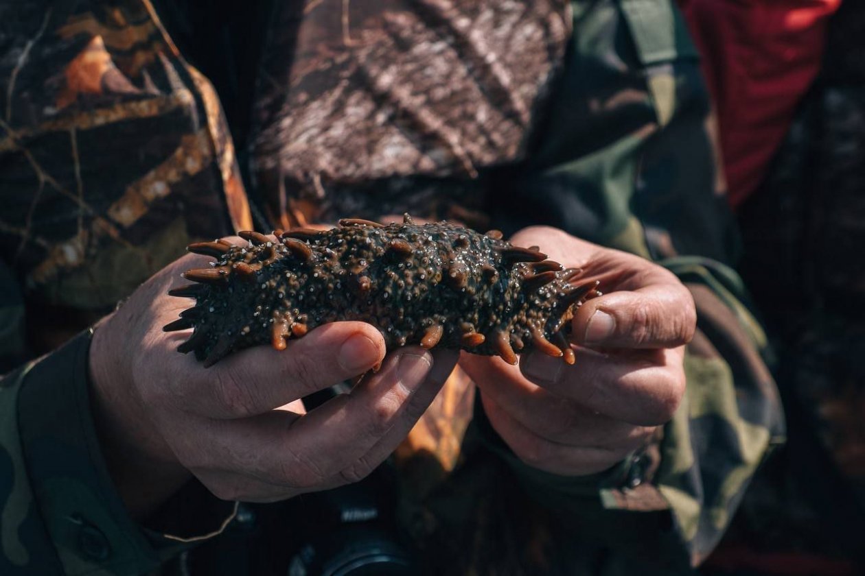 пресс-служба СахГУ