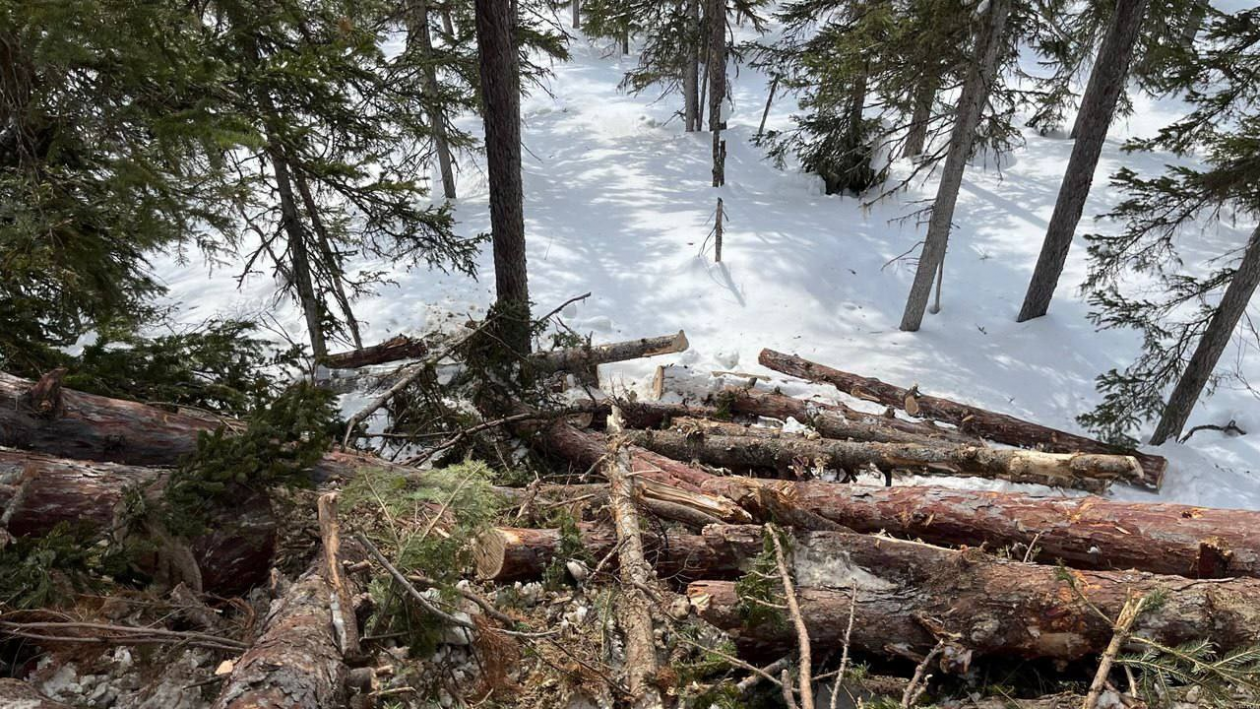 Ущерб от деятельности компании пресс-служба прокуратуры Сахалинской области