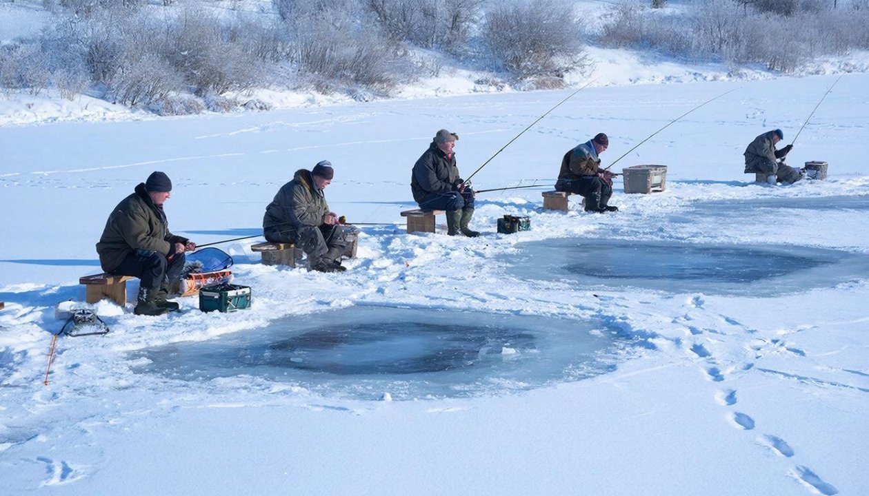 Сало вместо червя: на какую &quotзакуску&quot в январе идет самый крупный окунь - проверенный дедовский метод ИИ Kandinsky (18+)
