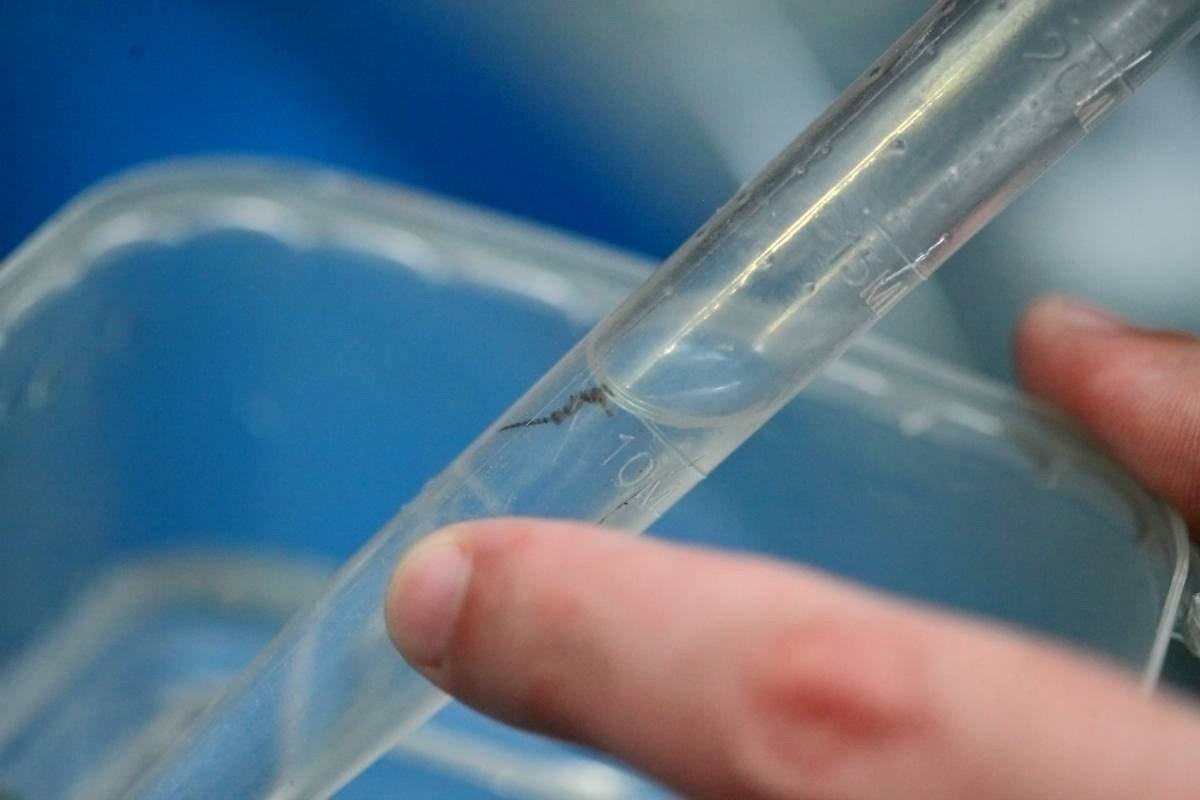 Пресс-служба Приморского океанариума