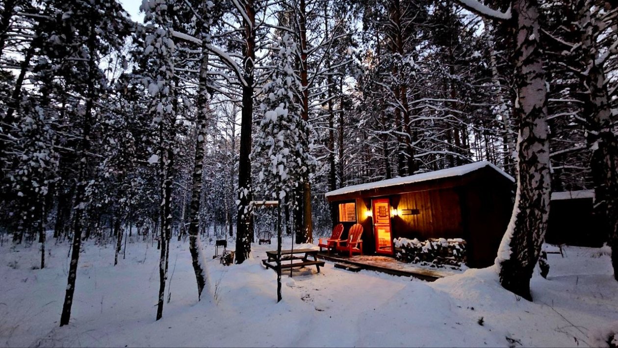 Тематическая иллюстрация Пресс-служба компании МегаФон